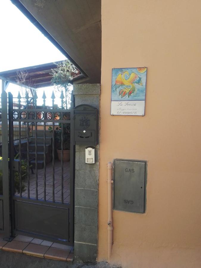 La Fenice مونتيفياسكون المظهر الخارجي الصورة