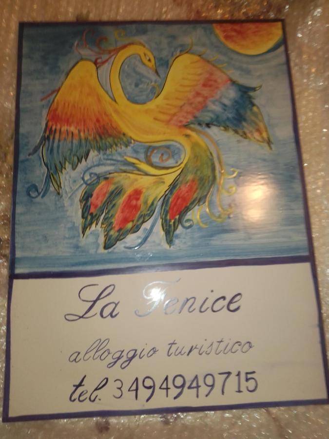 La Fenice مونتيفياسكون المظهر الخارجي الصورة
