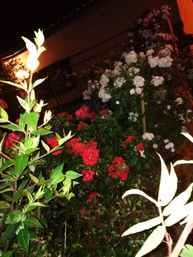 La Fenice مونتيفياسكون المظهر الخارجي الصورة