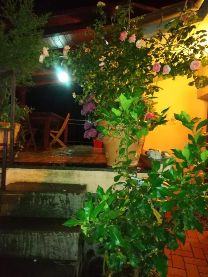 La Fenice مونتيفياسكون المظهر الخارجي الصورة