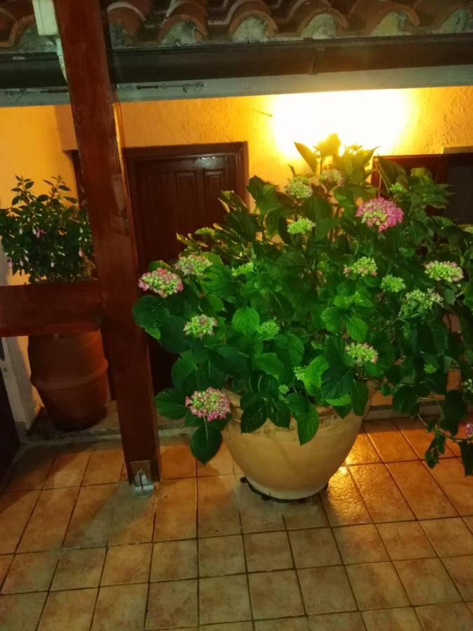 La Fenice مونتيفياسكون المظهر الخارجي الصورة